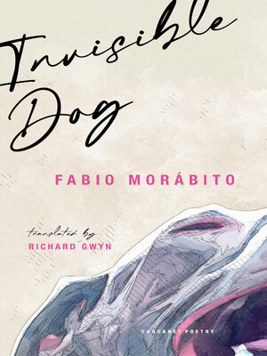 cover image of Invisible Dog